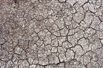 Dry cracked ground for use as a background