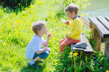 Cute blond sweden toddler boy in yellow shirt with his preschooler brother blowing dandelion flowers while sit in front of each other at summer time outdoors.