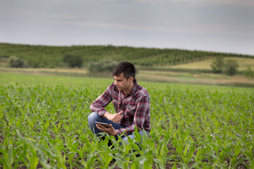 Naklejka na ściany i meble Farmer with tablet in corn field in spring