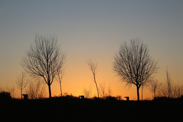 atardecer en rio  ebro