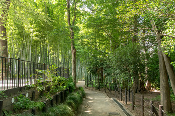 すずめのお宿緑地公園