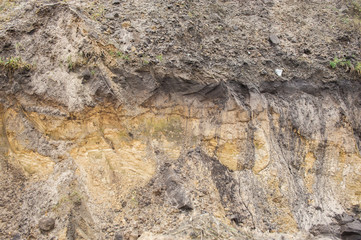 illegal mining of sand for construction. Destruction of coniferous forest and soil contamination. Pirate sand pit. Ukraine.