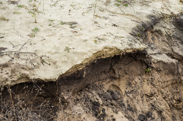 illegal mining of sand for construction. Destruction of coniferous forest and soil contamination....
