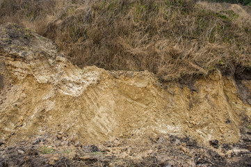 illegal mining of sand for construction. Destruction of coniferous forest and soil contamination. Pirate sand pit. Ukraine.