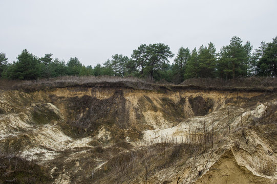 illegal mining of sand for construction. Destruction of coniferous forest and soil contamination. Pirate sand pit. Ukraine.