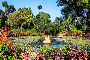 Sri laka Kandy Royal Botanical Gardens