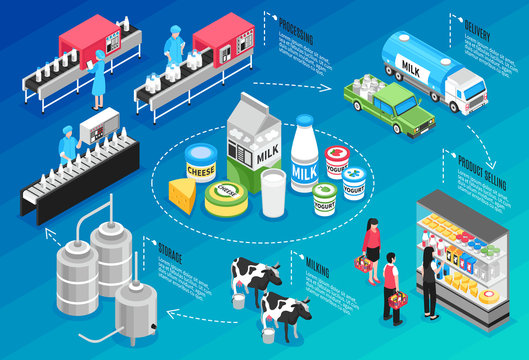 Milk Production Infographics