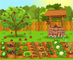 Vector illustration of garden with apple tree, old well and vegetables and fruits