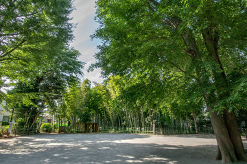 すずめのお宿緑地公園
