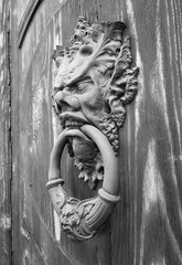 Devil head door knocker