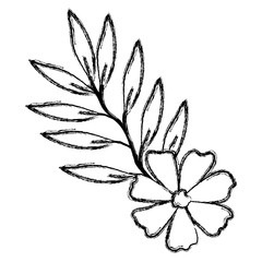 flower and leafs decorative icon vector illustration design