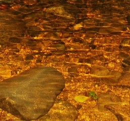Golden River Water Ripples with Stones Pattern