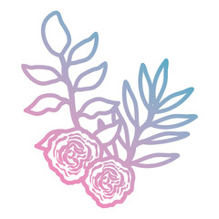 rose and leafs decorative icon vector illustration design