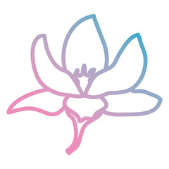 beautiful flower decorative icon vector illustration design