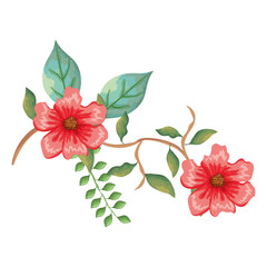 flower and leafs decorative icon vector illustration design