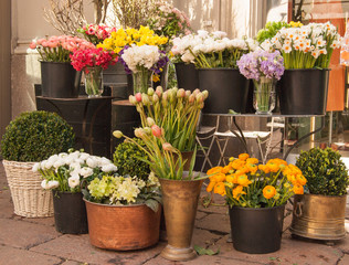 Different flowers selling outside of a florist