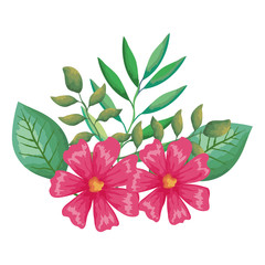 flower and leafs decorative icon vector illustration design