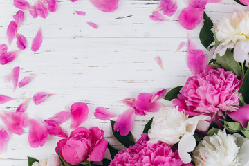 Pink and white peonies with petals on a wooden background. Copy space and flat lay.