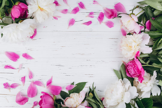 Pink and white peonies with petals on a wooden background. Copy space and flat lay.