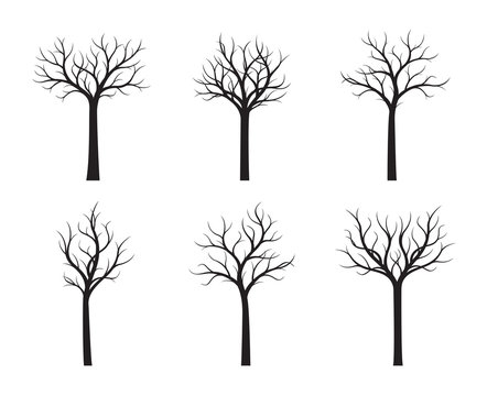 Set of black naked Trees. Vector Illustration.