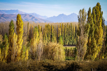 Uspallata y Pre-Cordillera + Ruta 7