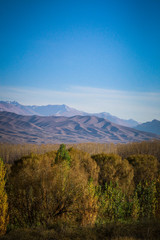 Uspallata y Pre-Cordillera + Ruta 7