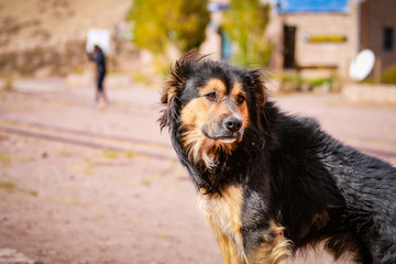 Puente del Inca Cordillera de los Andes