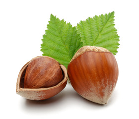 Hazelnut