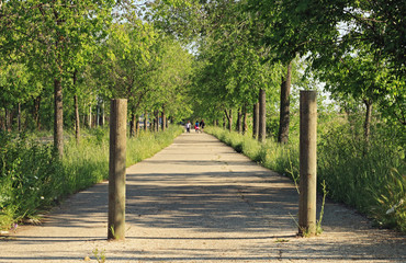 Road in the countryside