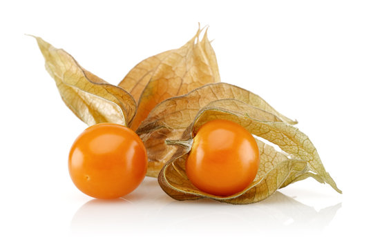 Physalis