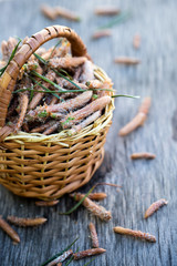 Obraz premium Pine Tree Needles. close-up