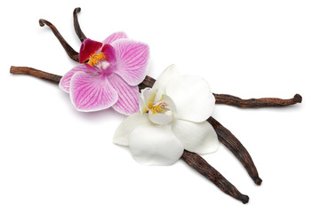 Vanilla sticks with orchids