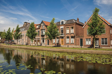 Obraz premium Tree-lined canal with aquatic plants and brick houses in a sunny day in Weesp. Quiet and pleasant village full of canals and green near Amsterdam. Northern Netherlands.