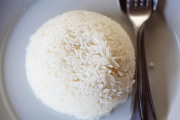 Plain white rice