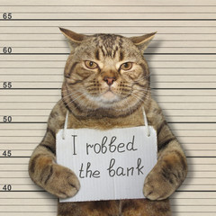 The bad cat robbed the bank. He was arrested for it.