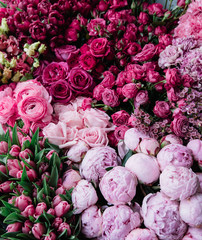 Beautiful fresh blossoming flowers texture at the florist shop in ombre color from magenta pink to pastel pink: ranunculus, peonies, roses, tulips, carnations, top view, flat lay 
