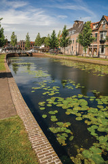 Tree-lined canal with aquatic plants, streets on the banks, brick houses and bridge on a sunny day...