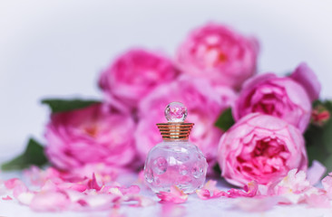 Obraz na płótnie Canvas Perfumery, cosmetics, fragrance collection