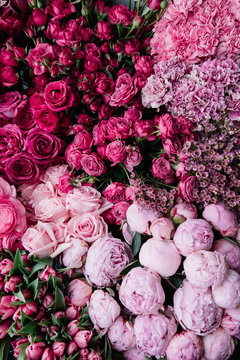 Fototapeta Beautiful fresh blossoming flowers texture at the florist shop in ombre color from magenta pink to pastel pink: ranunculus, peonies, roses, tulips, carnations, top view, flat lay