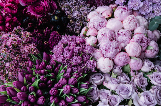 Fototapeta Stunning gradient of fresh blossoming flowers  from dark purple to pastel lavender colors. Top view of flowers at the florist shop: peonies, roses, tulips, carnations, ranunculus, flat lay