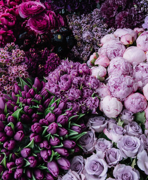 Fototapeta Stunning gradient of fresh blossoming flowers  from dark purple to pastel lavender colors. Top view of flowers at the florist shop: peonies, roses, tulips, carnations, ranunculus, flat lay
