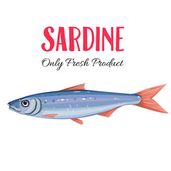 Vector sardine.