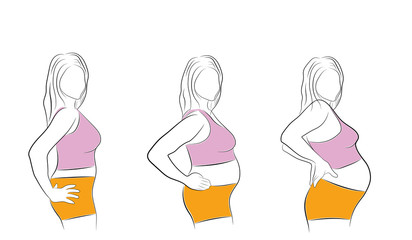 Changing the woman's body during stages of pregnancy. vector illustration.
