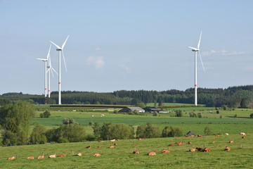 Fototapeta premium eolienne vent energie ecologie 
