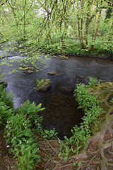 River Lynher Cornwall