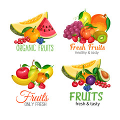 Fruits banners.