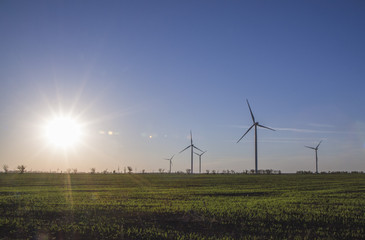 Fototapeta na wymiar Wind energy turbines on near sunset sky background, Energy generator nature friendly. Yellow colza field.