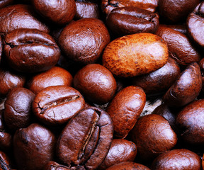 macro ,kaffeebohne, frisch