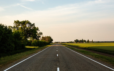 Fototapeta premium village road field and forest