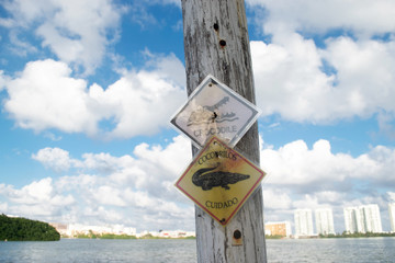 Warning sign of alligators in Cancun, Mexico